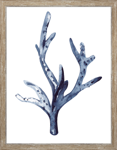 Indigo Seaweed I-II
