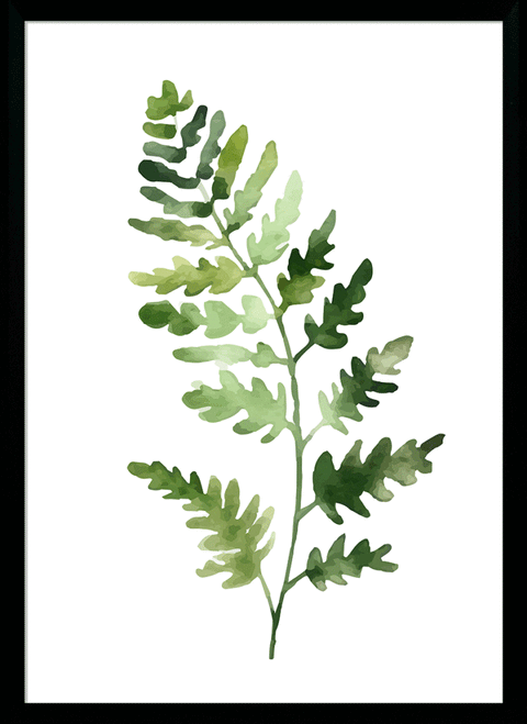 Fresh Ferns III