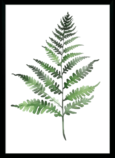 Fresh Ferns IV