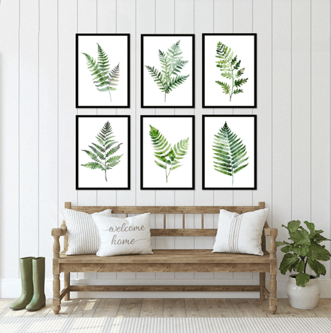 Fresh Ferns I