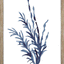 Indigo Seaweed I-II