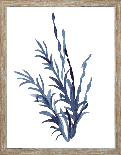Indigo Seaweed I-II
