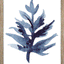 Indigo Seaweed I-II