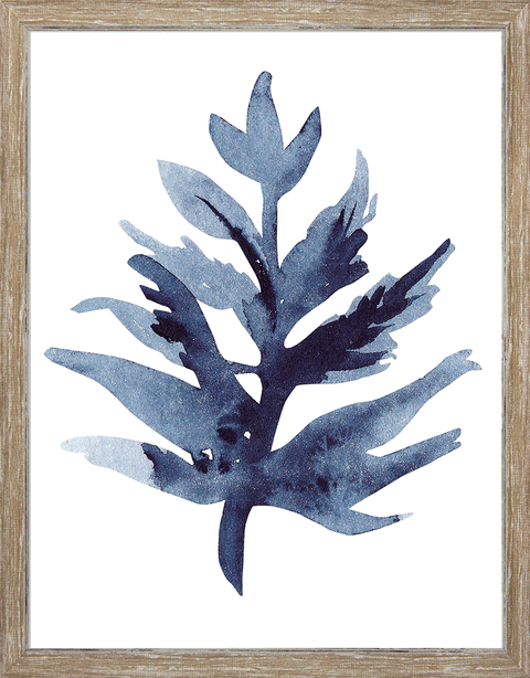 Indigo Seaweed I-II