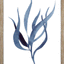 Indigo Seaweed I-II
