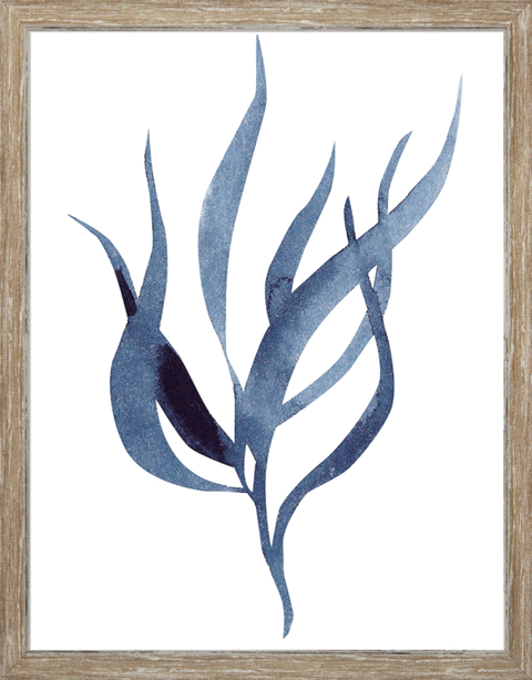 Indigo Seaweed I-II