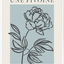 French Flowers IV