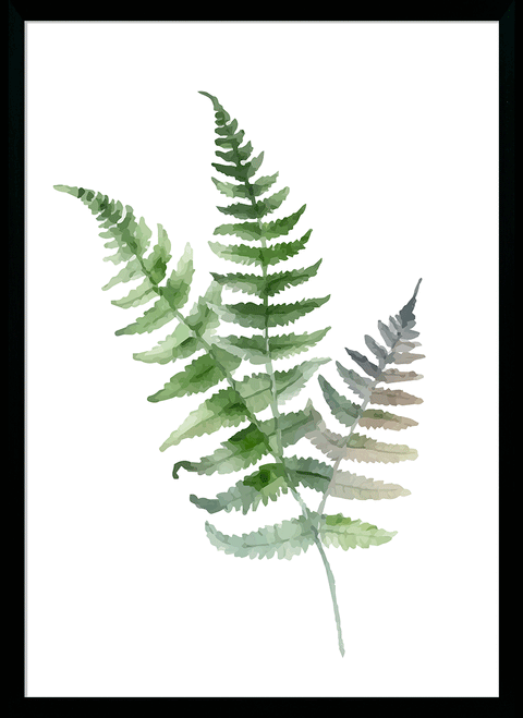 Fresh Ferns I