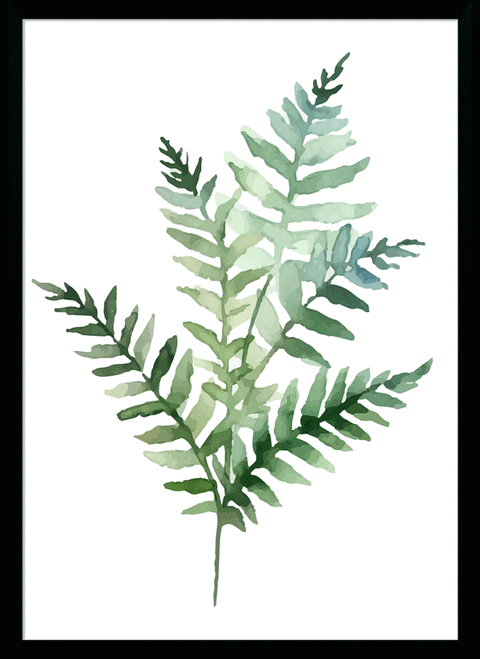 Fresh Ferns II