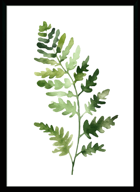 Fresh Ferns III