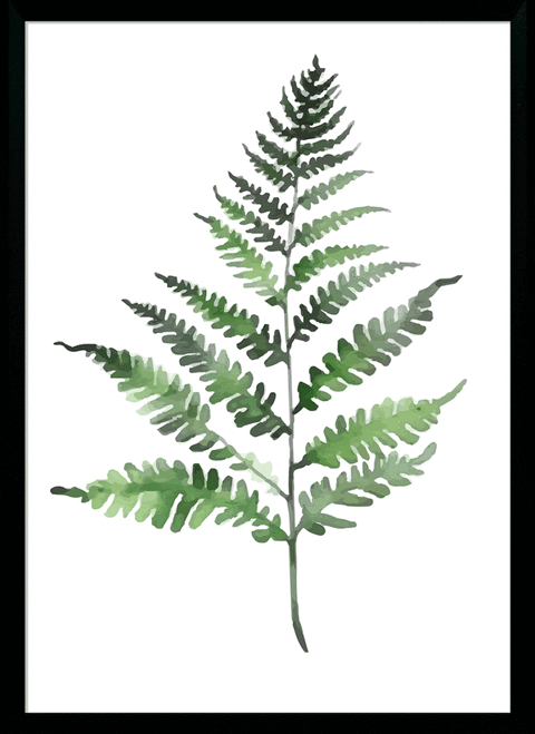Fresh Ferns IV