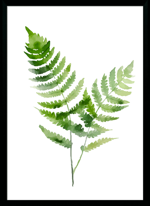 Fresh Ferns V