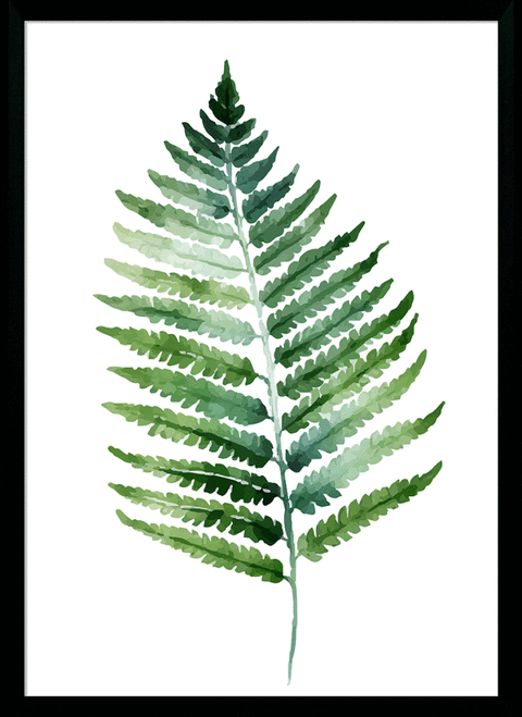 Fresh Ferns VI