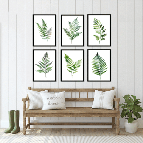 Fresh Ferns IV