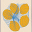 Fresh Fruit I